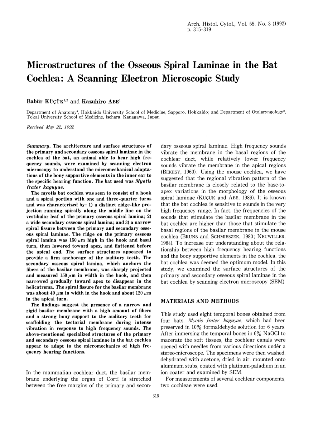 Microstructures of the Osseous Spiral Laminae in the Bat Cochlea: a Scanning Electron Microscopic Study