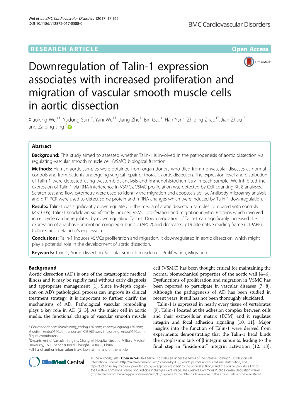 Downregulation of Talin-1 Expression Associates with Increased Proliferation and Migration of Vascular Smooth Muscle Cells in Ao
