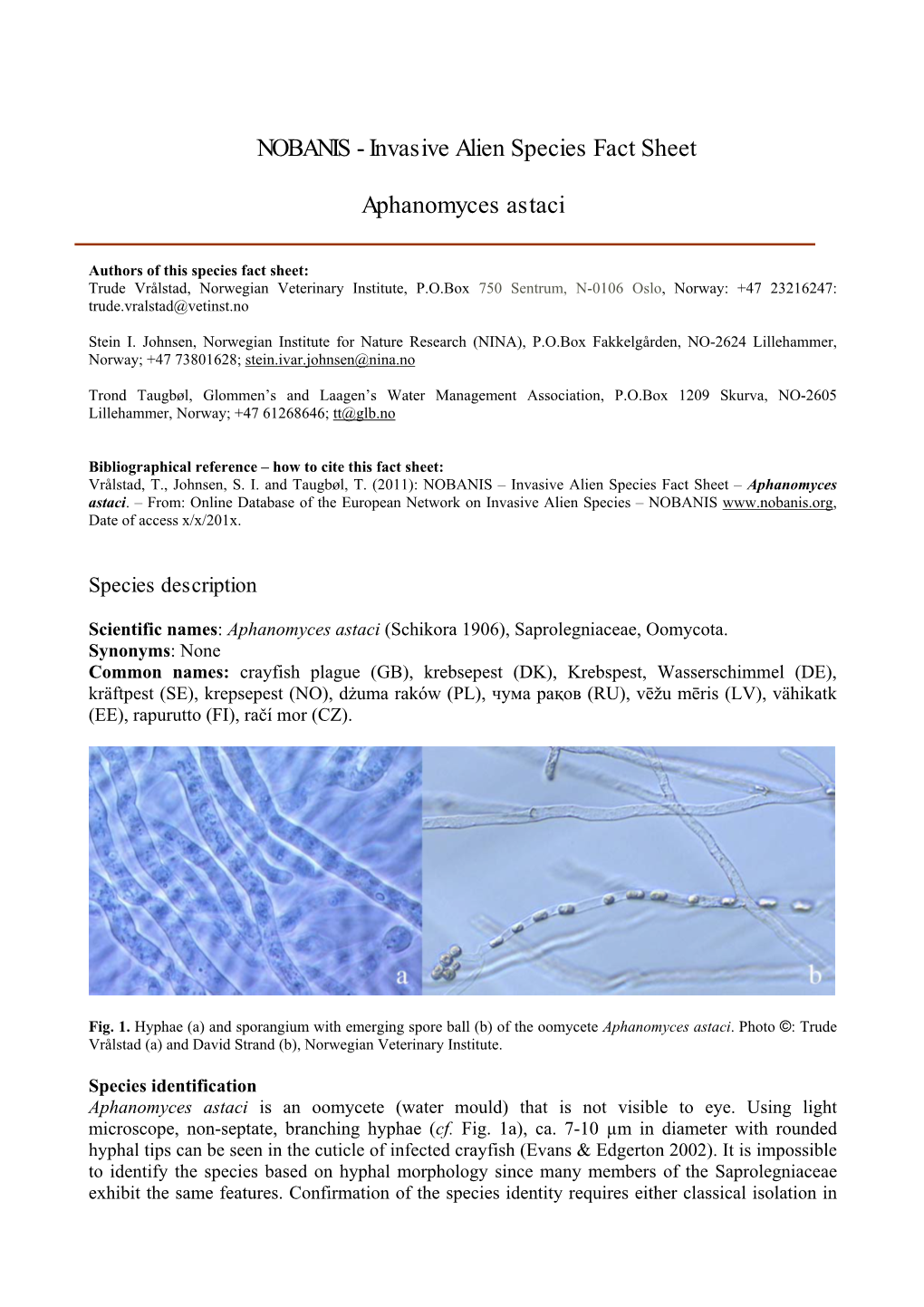 Invasive Alien Species Fact Sheet Aphanomyces Astaci