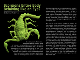 Scorpions Entire Body Behaving Like an Eye?