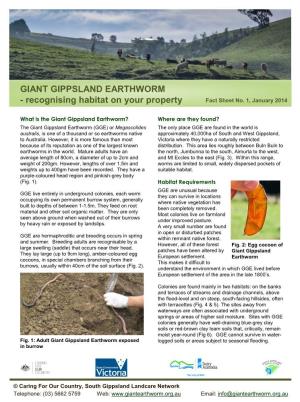Fact Sheet 1: Giant Gippsland Earthworm