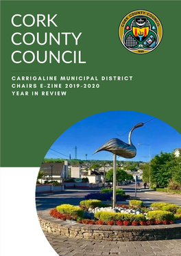 Cork County Council 1
