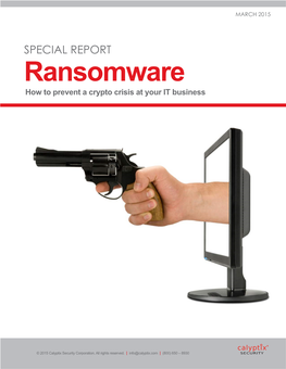 Ransomware How to Prevent a Crypto Crisis at Your IT Business