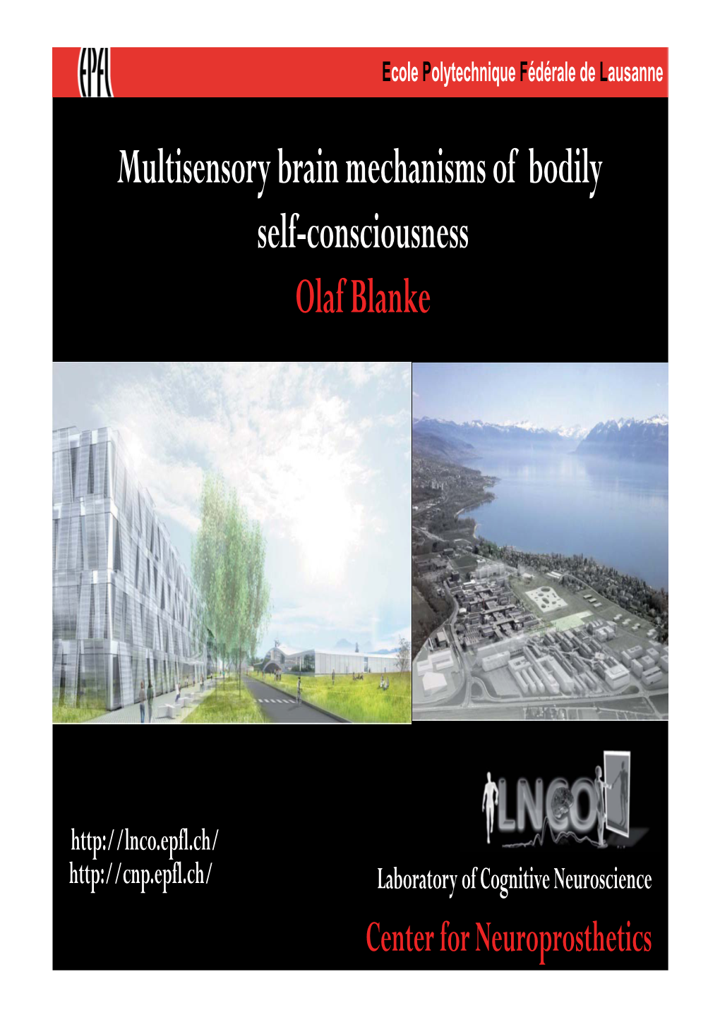 Multisensory Brain Mechanisms of Bodily Self-Consciousness Olaf Blanke