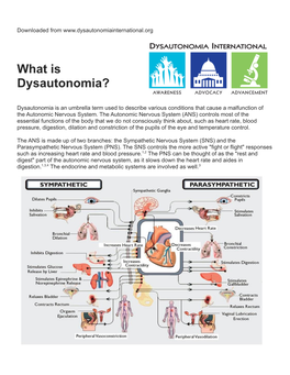 What Is Dysautonomia?