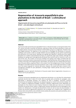 Regeneration of Araucaria Angustifolia in Pine