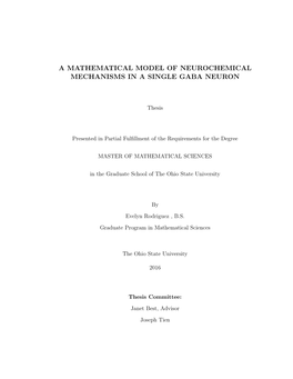 A Mathematical Model of Neurochemical Mechanisms