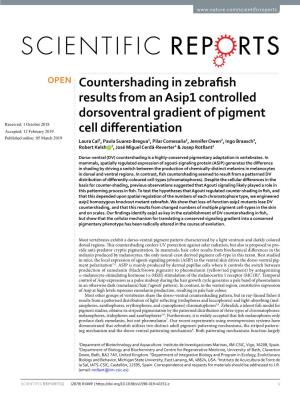 Countershading in Zebrafish Results from an Asip1 Controlled