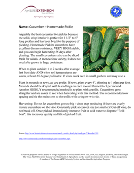 Name: Cucumber – Homemade Pickle