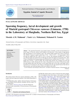 Spawning Frequency, Larval Development and Growth of Muricid Gastropod Chicoreus Ramosus (Linnaeus, 1758) in the Laboratory at Hurghada, Northern Red Sea, Egypt