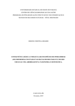 Dissertacao Simone Cristina Girardi.Pdf