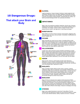 10 Dangerous Drugs That Attack Your Brain and Body (PDF)