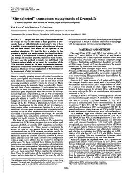 Transposon Mutagenesis of Drosophila (P Element/Polymerase Chain Reaction/Sib Selection/Singed/Transposon Mutagenesis) KIM Kaisert and STEPHEN F