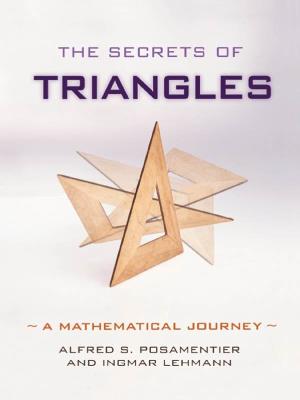 The Secrets of Triangles: a Mathematical Journey