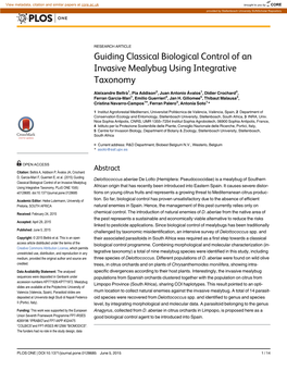 Guiding Classical Biological Control of an Invasive Mealybug Using Integrative Taxonomy