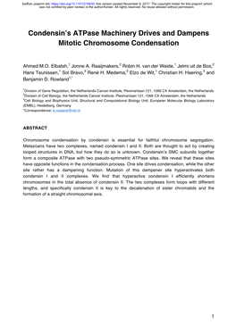 Condensin's Atpase Machinery Drives and Dampens Mitotic