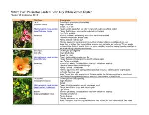 Native Plant Pollinator Garden: Pearl City Urban Garden Center Planted 14 September 2013
