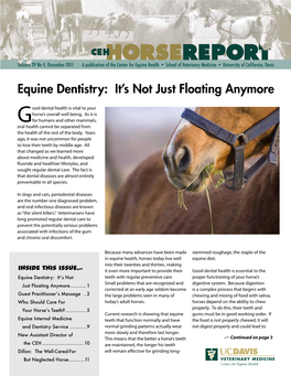 Equine Dentistry: It’S Not Just Floating Anymore