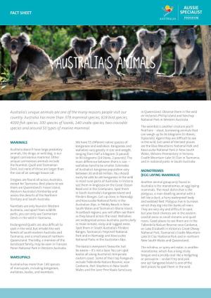 Australia's Animals