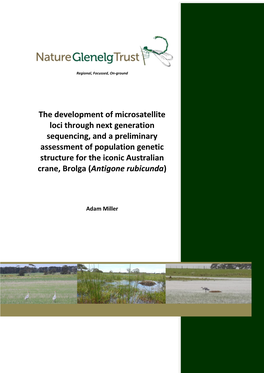 NGT Preliminary Assessment of Brolga Genetics