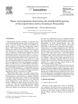 Major Rearrangements Characterize the Mitochondrial Genome of the Isopod Idotea Baltica (Crustacea: Peracarida)