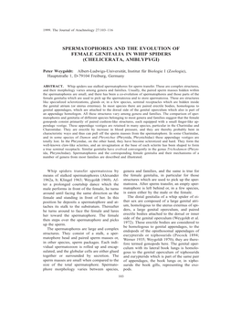 Spermatophores and the Evolution of Female Genitalia in Whip Spiders (Chelicerata, Amblypygi)