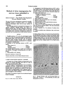 Method of Silver Impregnation for Nervous Tissue Embedded in Paraffin