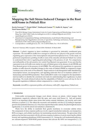 Mapping the Salt Stress-Induced Changes in the Root Mirnome in Pokkali Rice