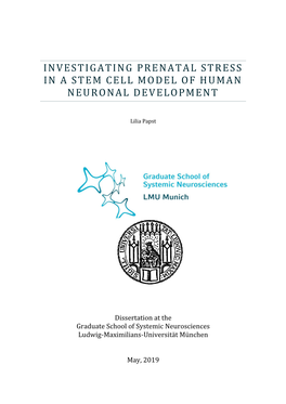 Investigating Prenatal Stress in a Stem Cell Model of Human Neuronal Development