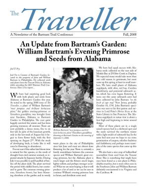William Bartram's Evening Primrose and Seeds from Alabama