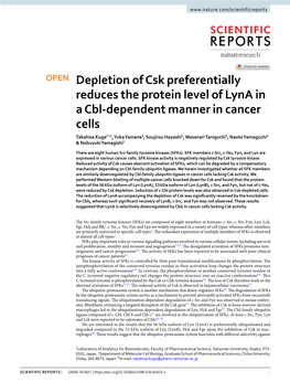 Depletion of Csk Preferentially Reduces the Protein Level of Lyna In