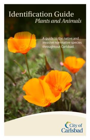 Identification Guide Plants and Animals