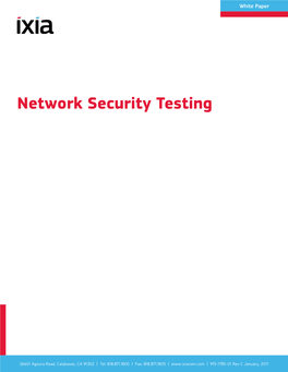 Network Security Testing