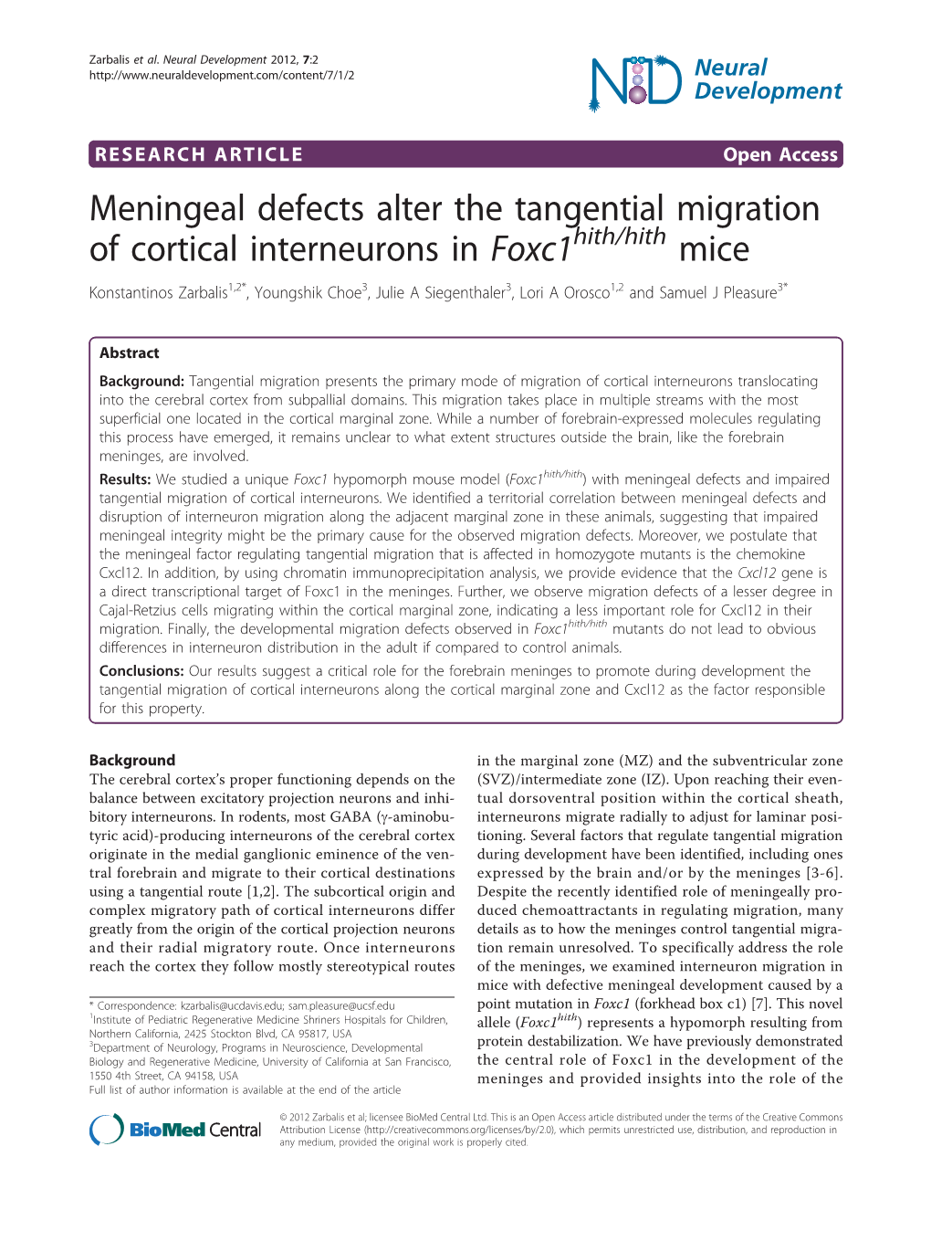 Meningeal Defects Alter the Tangential Migration Of