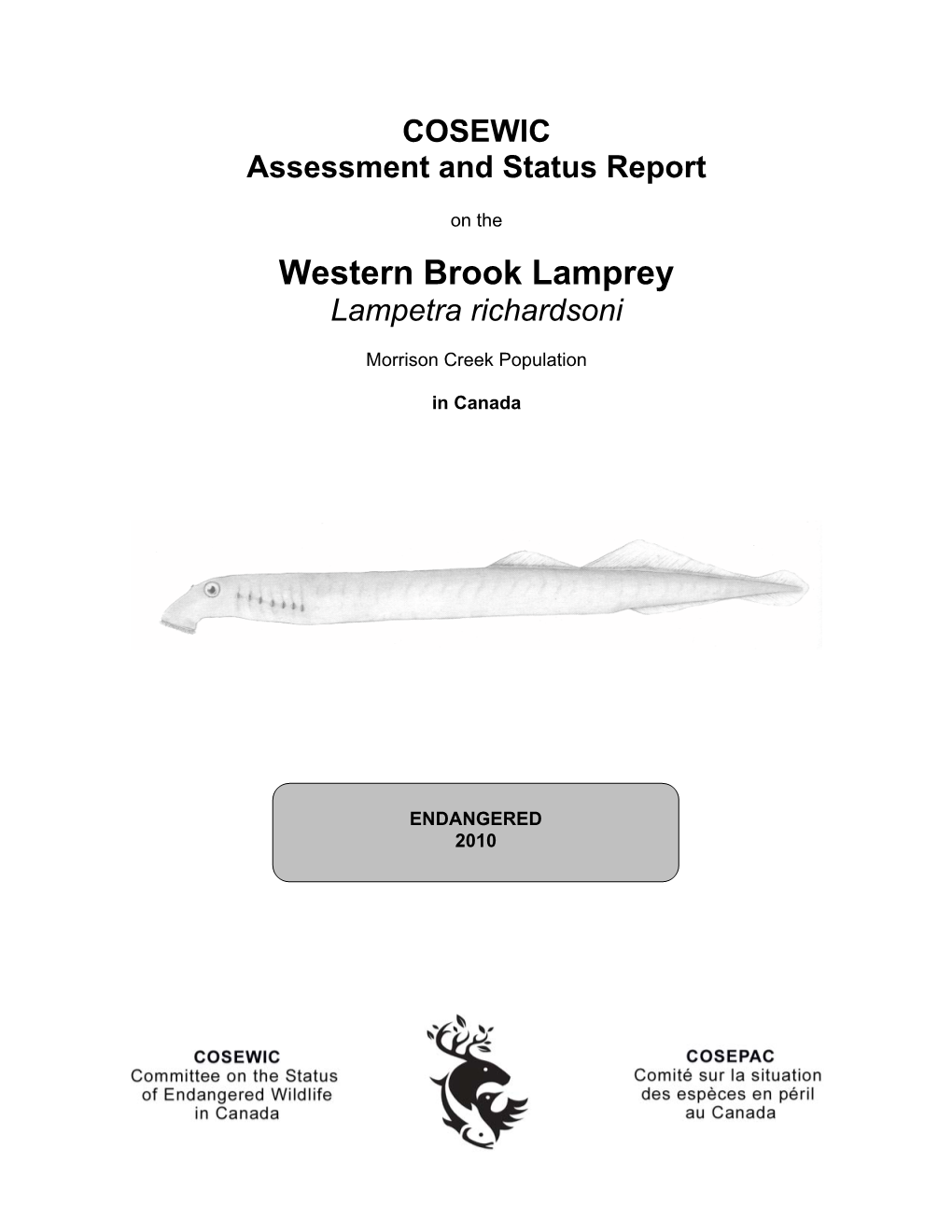 Western Brook Lamprey (Lampetra Richardsoni) Found in a Small Stream on the East Central Coast of Vancouver Island, British Columbia