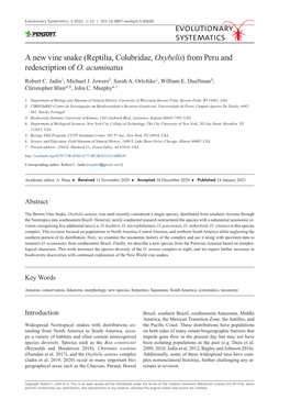 A New Vine Snake (Reptilia, Colubridae, Oxybelis) from Peru and Redescription of O