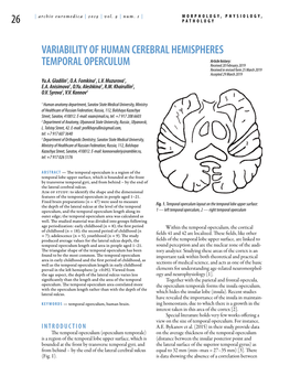 Variability of Human Cerebral Hemispheres Temporal