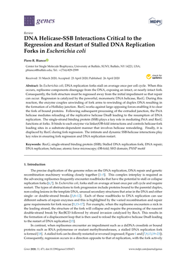 DNA Helicase-SSB Interactions Critical to the Regression and Restart of Stalled DNA Replication Forks in Escherichia Coli