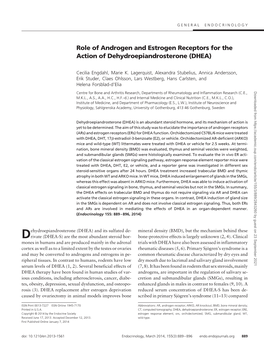Role of Androgen and Estrogen Receptors for the Action of Dehydroepiandrosterone (DHEA)