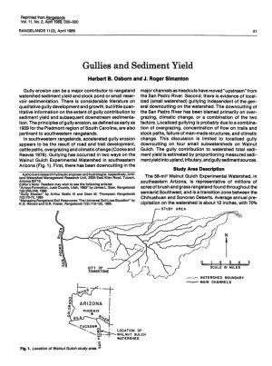 Gullies and Sediment Yield