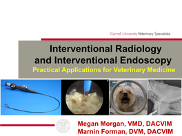 Interventional Radiology and Interventional Endoscopy Practical Applications for Veterinary Medicine