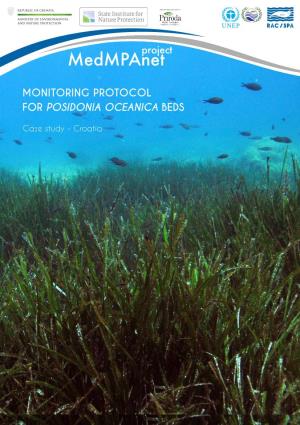 Monitoring Protocol for Posidonia Oceanica Beds