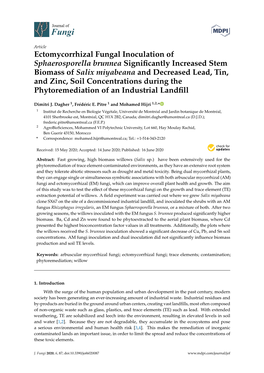 Ectomycorrhizal Fungal Inoculation of Sphaerosporella Brunnea