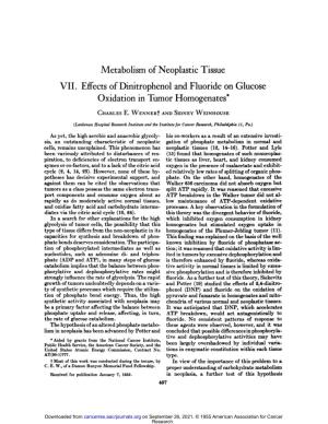 Metabolism of Neoplastic Tissue VII. Effects of Dinitrophenol and Fluoride on Glucose Oxidation in Tumor Homogenates*
