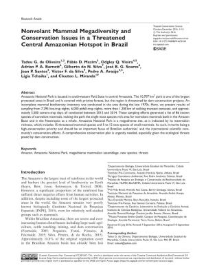 Nonvolant Mammal Megadiversity and Conservation Issues in A