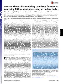 SWI/SNF Chromatin-Remodeling Complexes Function in Noncoding RNA-Dependent Assembly of Nuclear Bodies