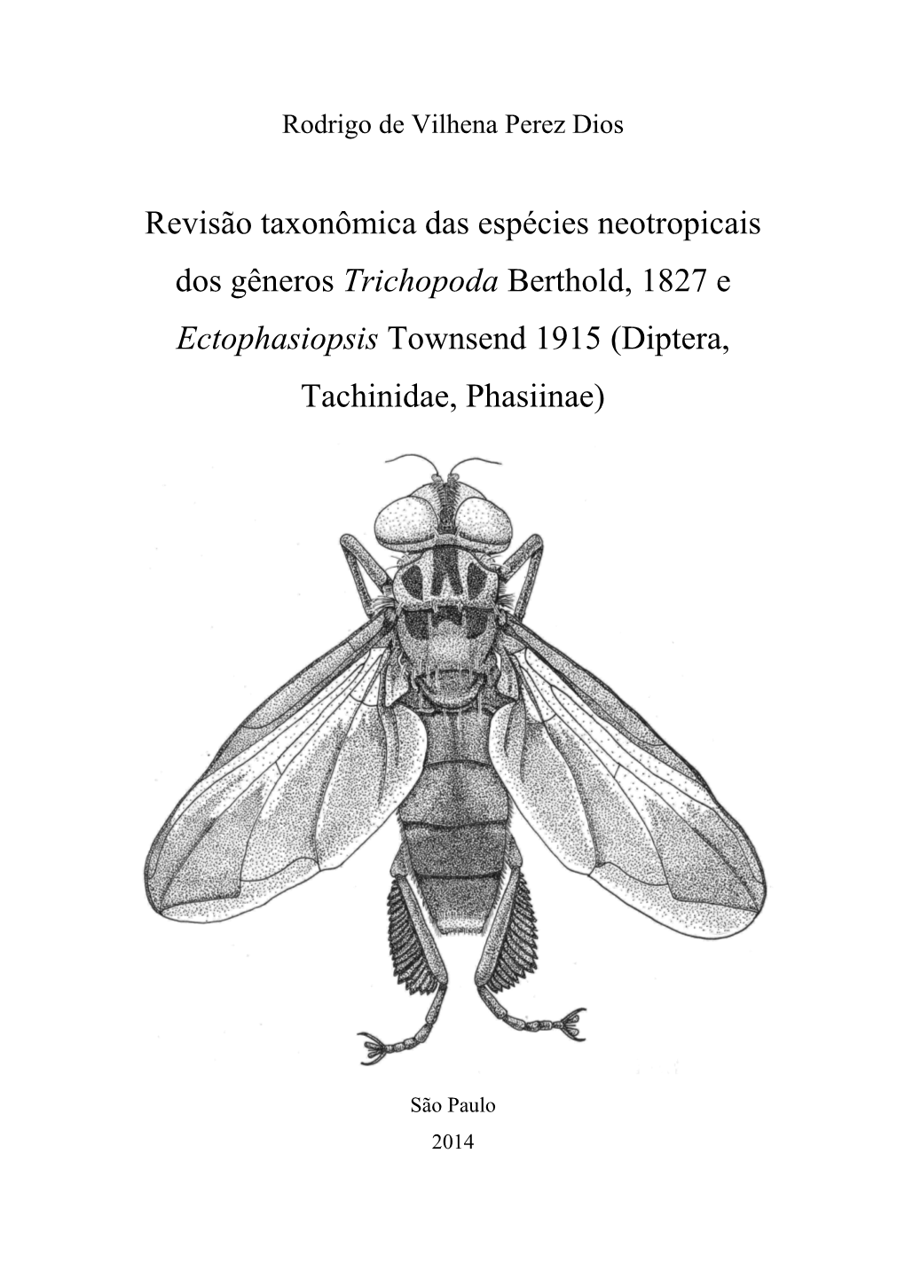 Revisão Taxonômica Das Espécies Neotropicais Dos Gêneros Trichopoda Berthold, 1827 E Ectophasiopsis Townsend 1915 (Diptera, Tachinidae, Phasiinae)