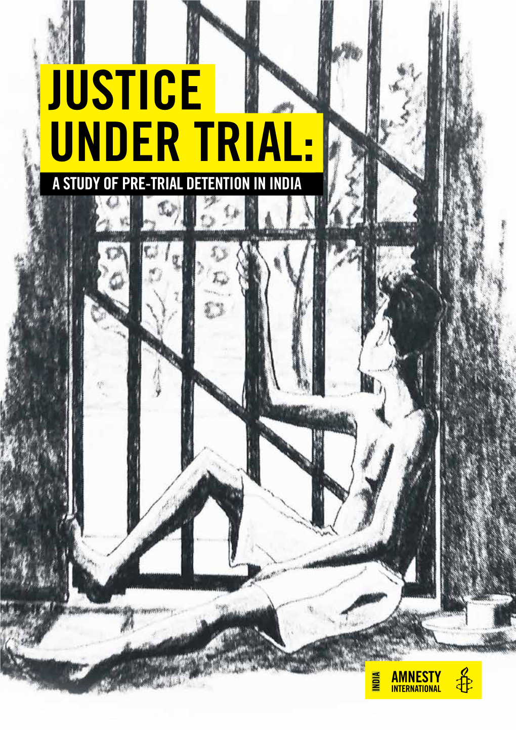 Justice Under Trial: a Study of Pre-Trial Detention in India 2 Justice Under Trial: a Study of Pre-Trial Detention in India