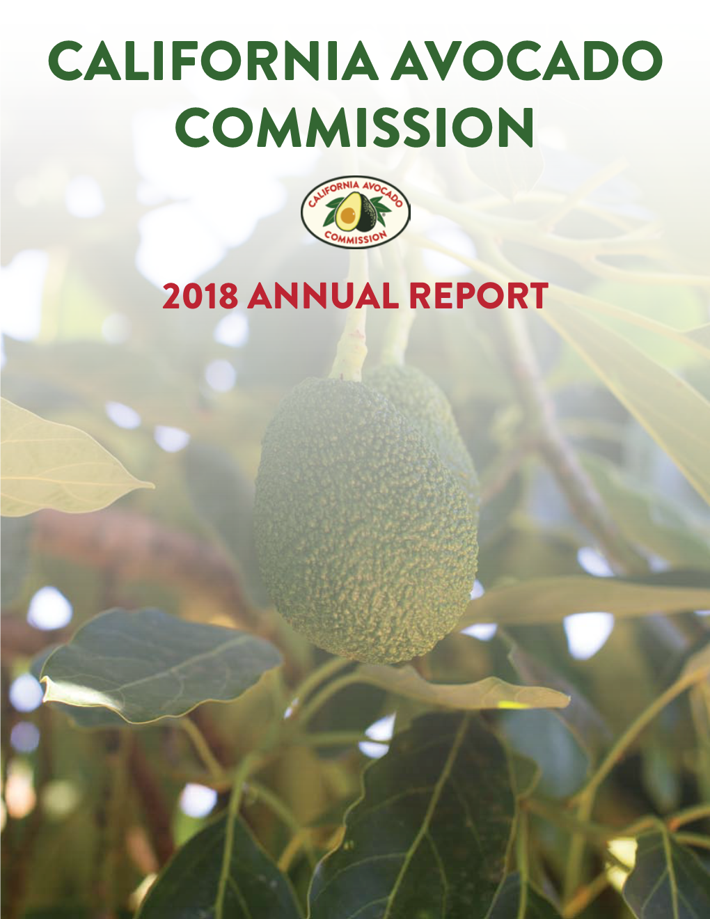 CAC Annual Report 2018