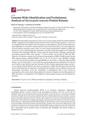 Genome-Wide Identification and Evolutionary Analysis of Sarcocystis Neurona Protein Kinases
